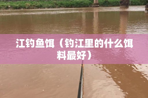 江钓鱼饵（钓江里的什么饵料最好）