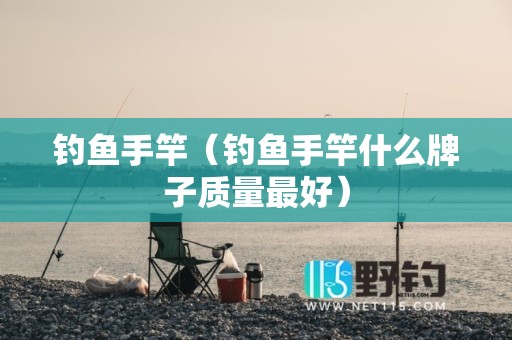 钓鱼手竿（钓鱼手竿什么牌子质量最好）