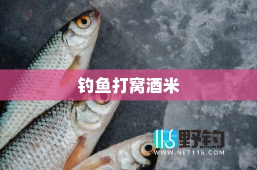 钓鱼打窝酒米
