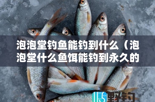 泡泡堂钓鱼能钓到什么（泡泡堂什么鱼饵能钓到永久的）