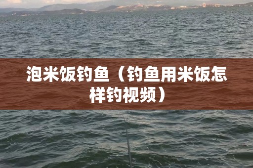 泡米饭钓鱼（钓鱼用米饭怎样钓视频）