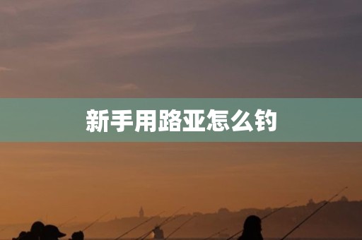 新手用路亚怎么钓