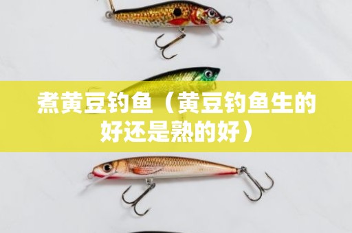 煮黄豆钓鱼（黄豆钓鱼生的好还是熟的好）