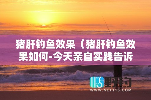 猪肝钓鱼效果（猪肝钓鱼效果如何-今天亲自实践告诉大家到底怎么样）