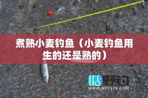 煮熟小麦钓鱼（小麦钓鱼用生的还是熟的）