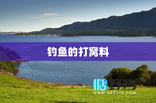 钓鱼的打窝料