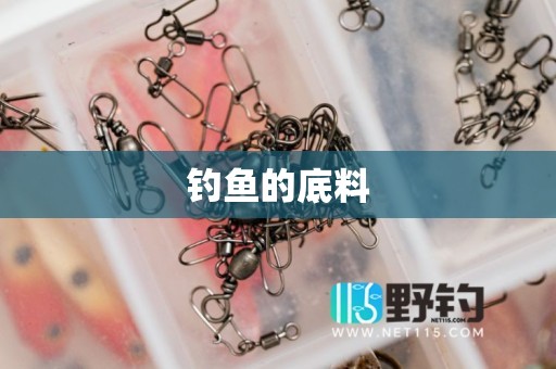 钓鱼的底料