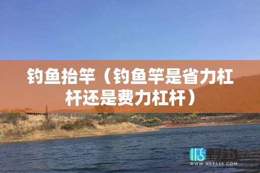 钓鱼抬竿（钓鱼竿是省力杠杆还是费力杠杆）