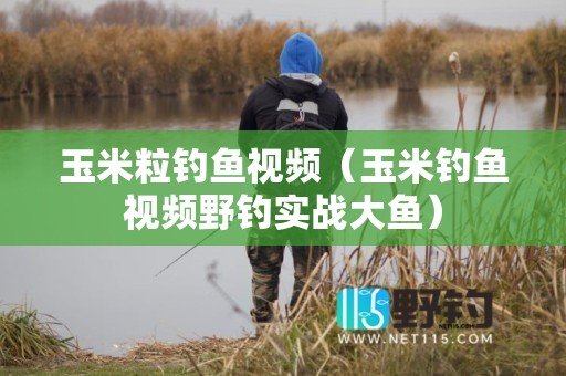 玉米粒钓鱼视频（玉米钓鱼视频野钓实战大鱼）