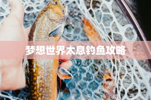 梦想世界太息钓鱼攻略