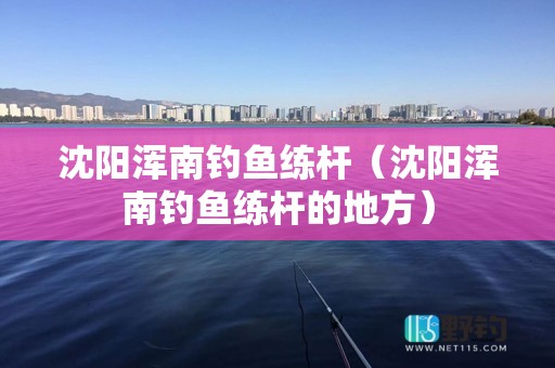 沈阳浑南钓鱼练杆（沈阳浑南钓鱼练杆的地方）