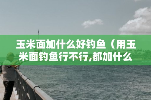 玉米面加什么好钓鱼（用玉米面钓鱼行不行,都加什么料）