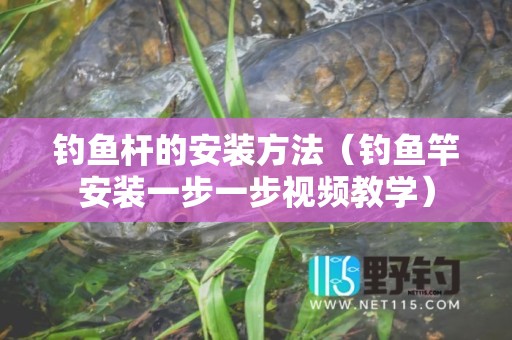 钓鱼杆的安装方法（钓鱼竿安装一步一步视频教学）