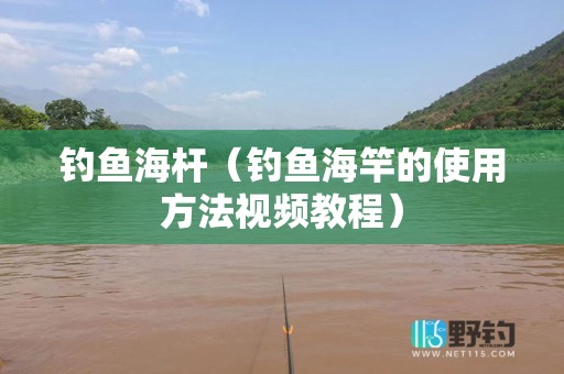 钓鱼海杆（钓鱼海竿的使用方法视频教程）