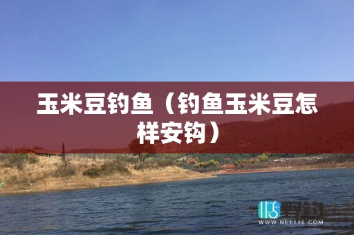 玉米豆钓鱼（钓鱼玉米豆怎样安钩）
