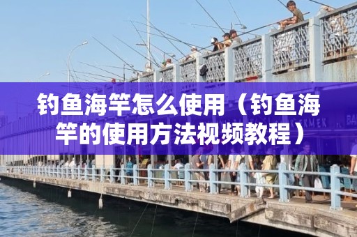 钓鱼海竿怎么使用（钓鱼海竿的使用方法视频教程）