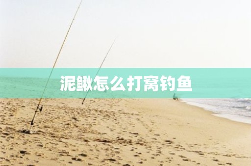 泥鳅怎么打窝钓鱼