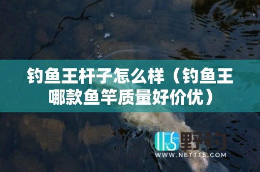 钓鱼王杆子怎么样（钓鱼王哪款鱼竿质量好价优）