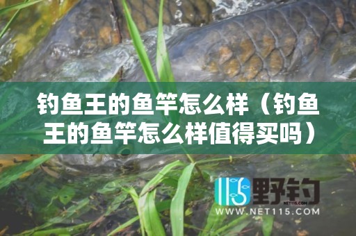 钓鱼王的鱼竿怎么样（钓鱼王的鱼竿怎么样值得买吗）