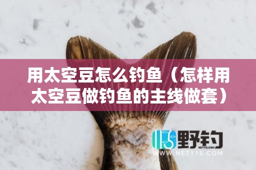 用太空豆怎么钓鱼（怎样用太空豆做钓鱼的主线做套）