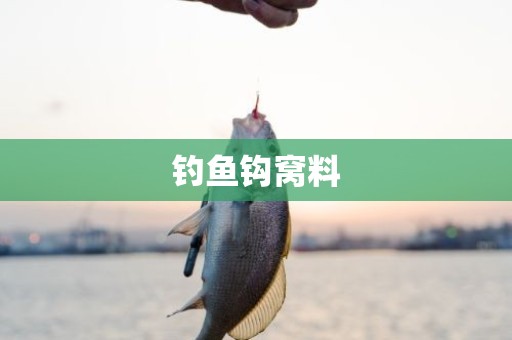 钓鱼钩窝料
