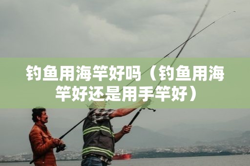 钓鱼用海竿好吗（钓鱼用海竿好还是用手竿好）