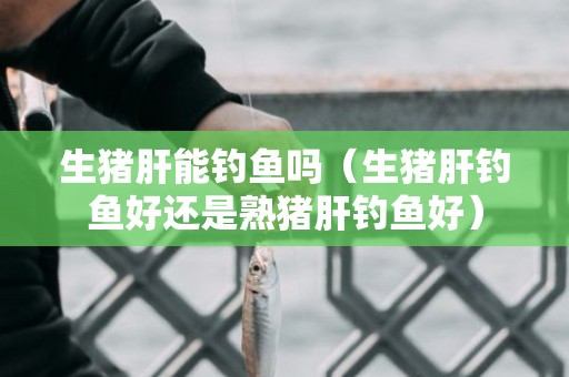 生猪肝能钓鱼吗（生猪肝钓鱼好还是熟猪肝钓鱼好）