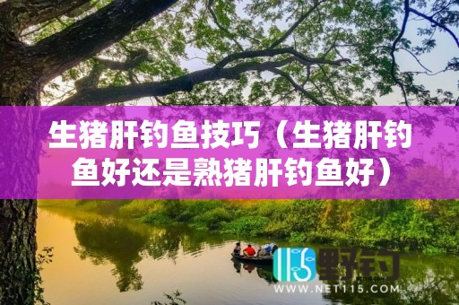 生猪肝钓鱼技巧（生猪肝钓鱼好还是熟猪肝钓鱼好）