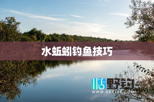 水蚯蚓钓鱼技巧
