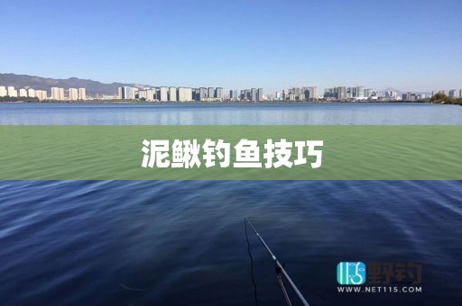 泥鳅钓鱼技巧