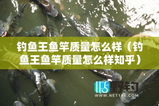 钓鱼王鱼竿质量怎么样（钓鱼王鱼竿质量怎么样知乎）