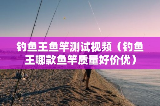 钓鱼王鱼竿测试视频（钓鱼王哪款鱼竿质量好价优）