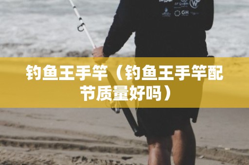钓鱼王手竿（钓鱼王手竿配节质量好吗）