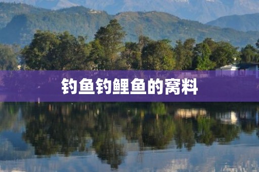 钓鱼钓鲤鱼的窝料