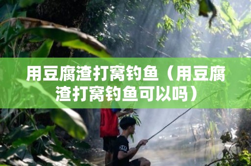 用豆腐渣打窝钓鱼（用豆腐渣打窝钓鱼可以吗）