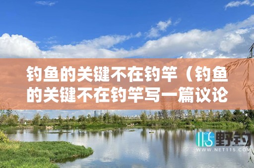 钓鱼的关键不在钓竿（钓鱼的关键不在钓竿写一篇议论文联系生活实际）