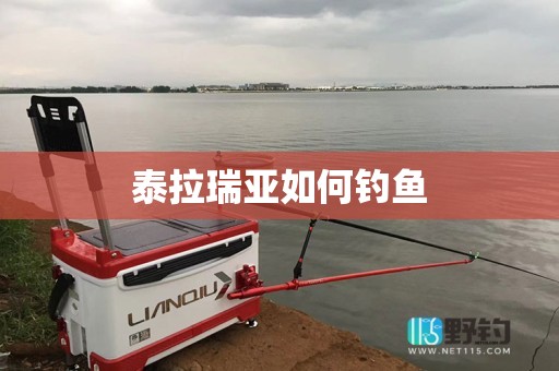 泰拉瑞亚如何钓鱼
