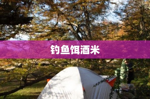 钓鱼饵酒米
