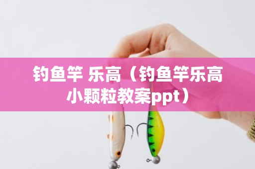 钓鱼竿 乐高（钓鱼竿乐高小颗粒教案ppt）