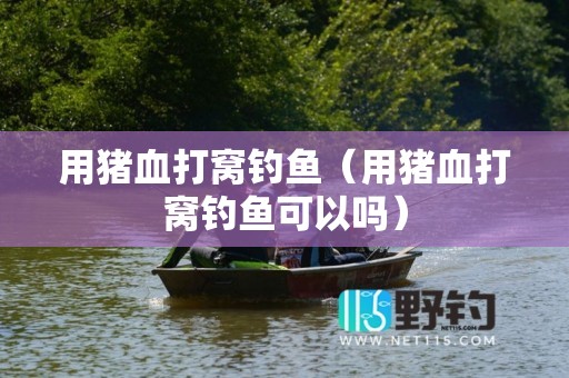 用猪血打窝钓鱼（用猪血打窝钓鱼可以吗）