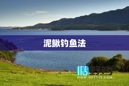 泥鳅钓鱼法