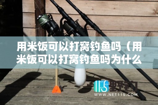 用米饭可以打窝钓鱼吗（用米饭可以打窝钓鱼吗为什么）