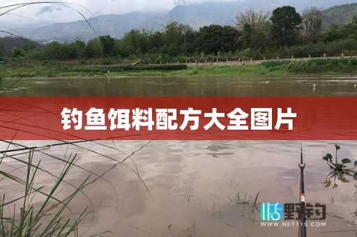 钓鱼饵料配方大全图片