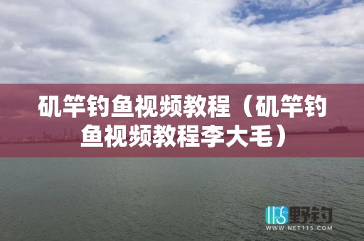 矶竿钓鱼视频教程（矶竿钓鱼视频教程李大毛）
