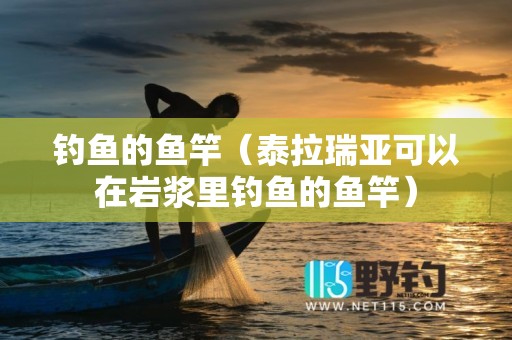 钓鱼的鱼竿（泰拉瑞亚可以在岩浆里钓鱼的鱼竿）