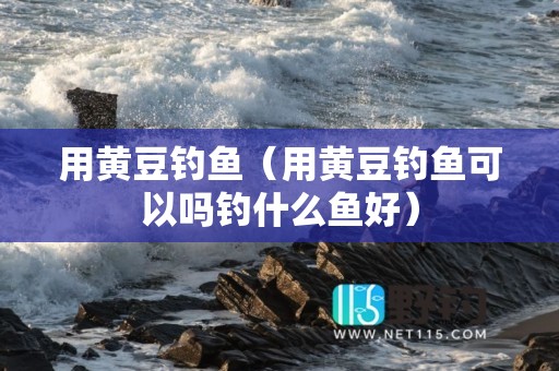 用黄豆钓鱼（用黄豆钓鱼可以吗钓什么鱼好）