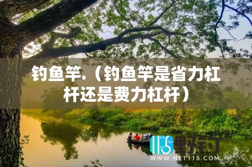钓鱼竿.（钓鱼竿是省力杠杆还是费力杠杆）