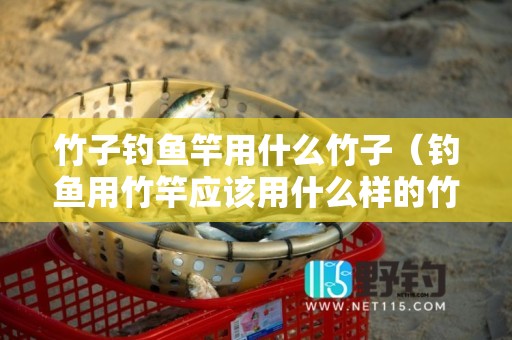 竹子钓鱼竿用什么竹子（钓鱼用竹竿应该用什么样的竹杆）