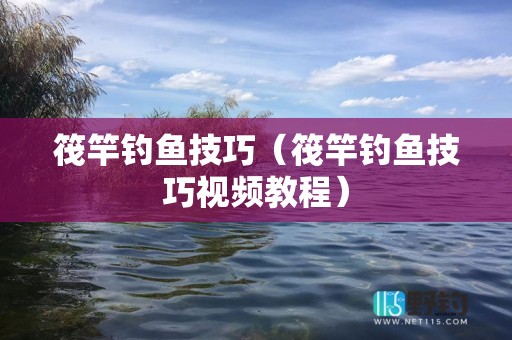 筏竿钓鱼技巧（筏竿钓鱼技巧视频教程）