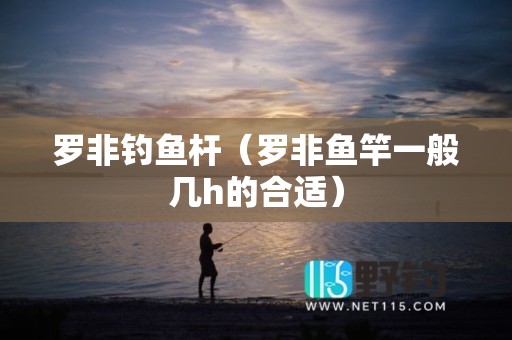 罗非钓鱼杆（罗非鱼竿一般几h的合适）